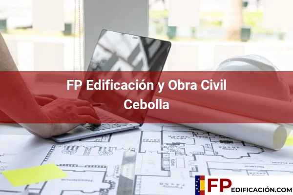 FP en Edificación y Obra Civil en Toledo 9 FP en Edificación y Obra Civil en Cebolla